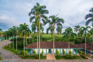 las-heliconias-004
