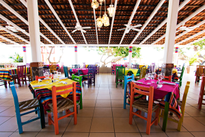 los-cocos-03